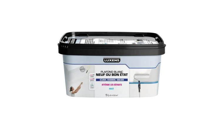 PEINTURE PLAFOND MAT LUXENS NEUF OU BON ETAT 5L