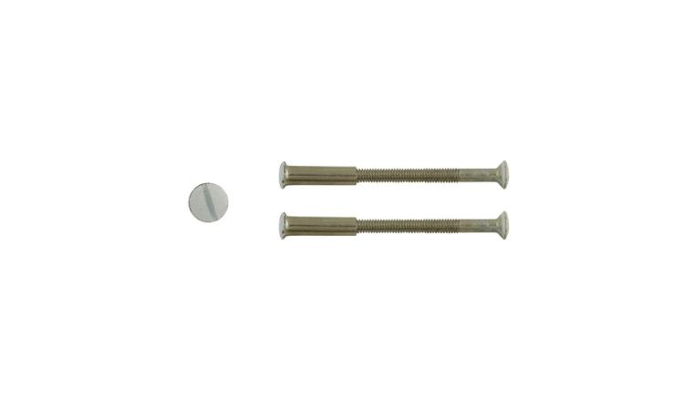 VIS RELIEUSE ACIER BLC LOT DE 2