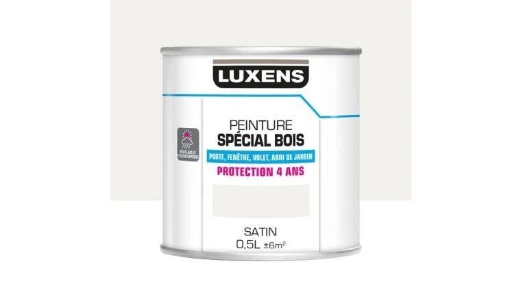 PEINTURE BOIS SAT 0L5 BLC