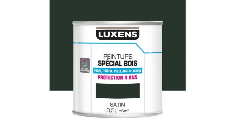 PEINTURE BOIS SAT 0L5VRT SAPIN
