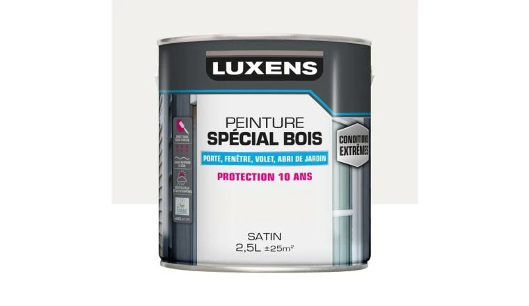 PEINTURE BOIS EXTM SAT 2L5 BLC