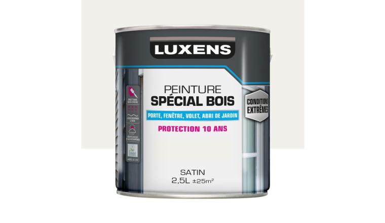 PEINTURE BOIS EXTM SAT 2L5 BLC