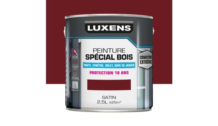 PEINTURE BOIS EXTM SAT 2L5 RGE