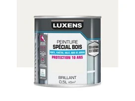 PEINTURE BOIS EXTM BRI 0L5 BLC