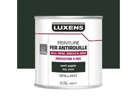 PEINTURE FER VERT BRILLANT 0L5