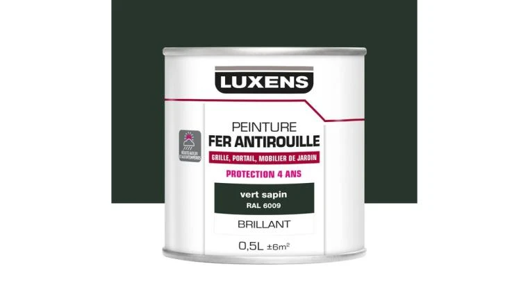 PEINTURE FER VERT BRILLANT 0L5