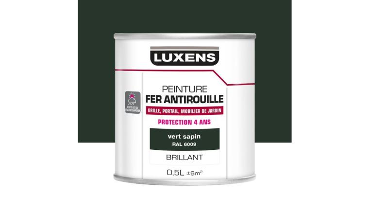 PEINTURE FER VERT BRILLANT 0L5