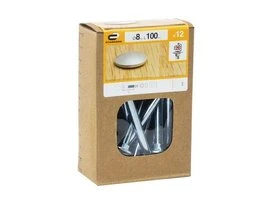 BOULON TRCC  8X100 ZN B12