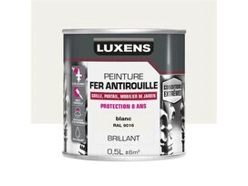 PEINTURE FER CONDITIONS EXTREMES BLANC BLANC 0L5