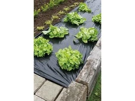 FILM PAILLAGE POTAGER GEOLIA 1.40X5M
