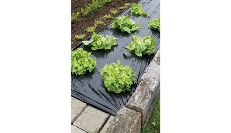 FILM PAILLAGE POTAGER GEOLIA 1.40X5M
