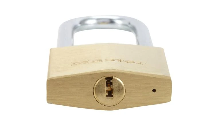 Cadenas en laiton massif 50mm anse longue Master Lock 2950EURDLJ