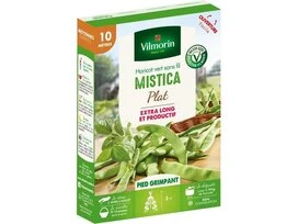 HARICOT RAME MONGETOUT MISTICA VILMORIN