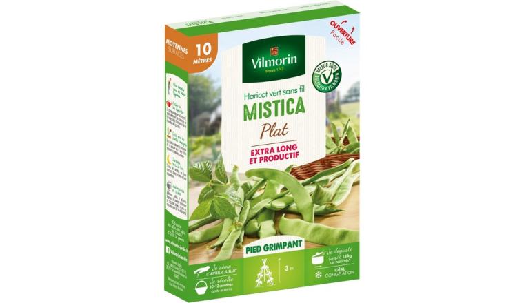 HARICOT RAME MONGETOUT MISTICA VILMORIN