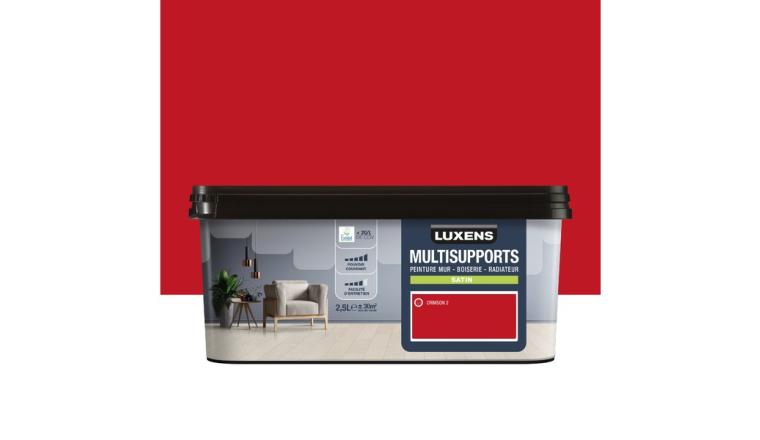 PEINTURE  ROUGE CARM3 SAT 2.5L