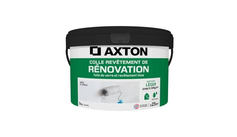 COLLE TOILE DE VERRE ET RENOVATION LEGERE PATE 5KG AXTON