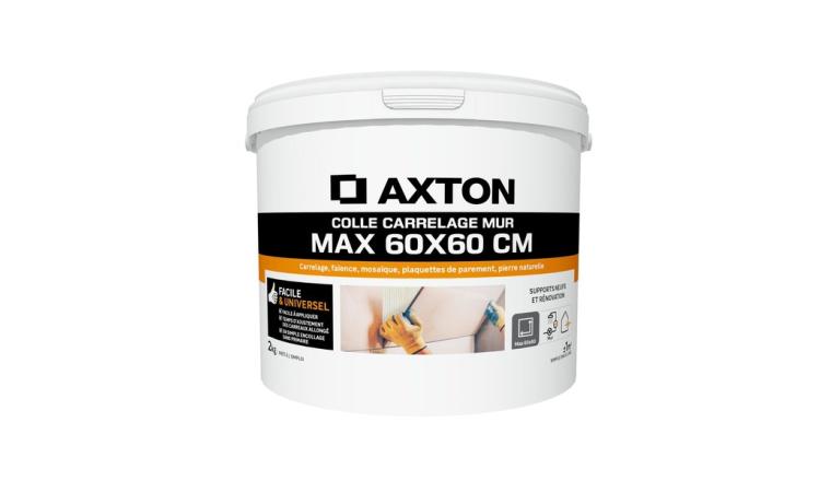 COLLE PATE MUR INTERIEUR AXTON MAX 60X60CM BLANC 2KG