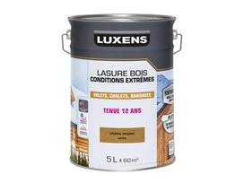 LASURE LUXENS CONDITIONS EXTREMES 12 ANS CHENE MOYEN BRILLANT 5L