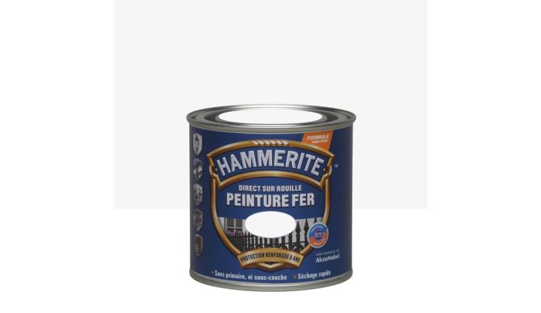 PEINTURE HAMMERITE LIS BLANC 250ML