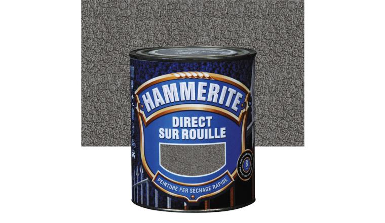 PEINTURE FER ARDOISE 250ML