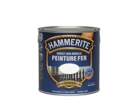 PEINTURE FER BRIL 2L5 BLC