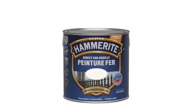 PEINTURE FER BRIL 2L5 BLC