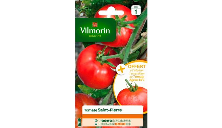 TOMATE SAINT PIERRE VILMORIN