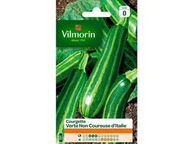 COURGETTE VERTE NON COUREUSE VILMORIN