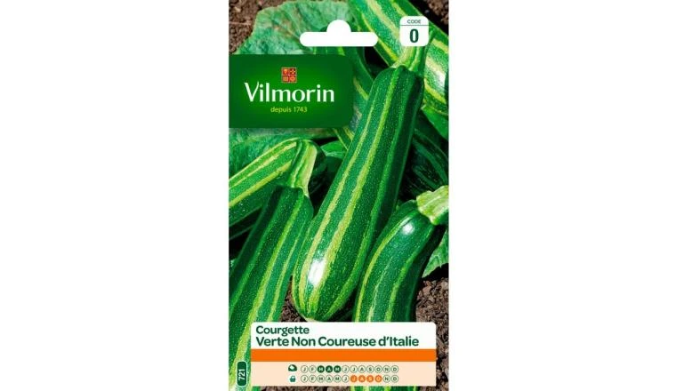 COURGETTE VERTE NON COUREUSE VILMORIN