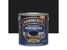 PEINTURE FER BRIL 2L5 NR