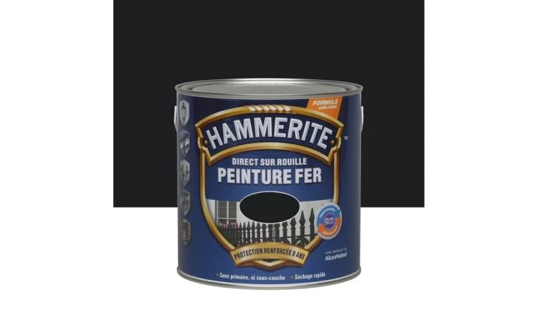 PEINTURE FER BRIL 2L5 NR