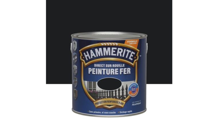 PEINTURE FER BRIL 2L5 NR