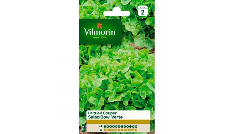 LAITUE SALAD BOWL VILMORIN