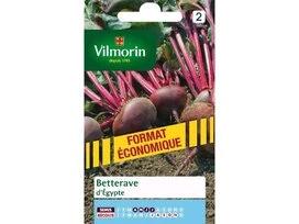 BETTERAVE NOIRE EGYPTE VILMORIN