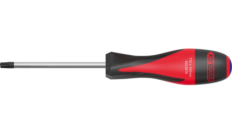 TOURNEVIS TORX PERCE T20 L100