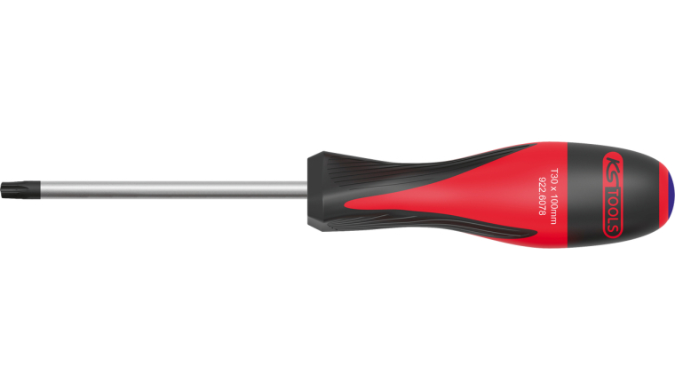 TOURNEVIS TORX PERCE T20 L100