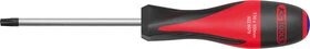 TOURNEVIS TORX PERCE T30 L100