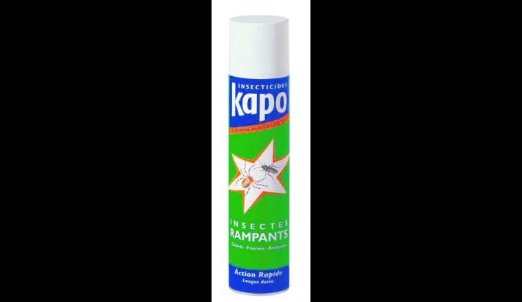INSECTICIDE RAMPANT AERO400ML KAPO