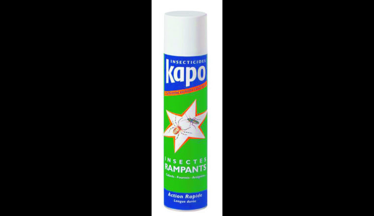 INSECTICIDE RAMPANT AERO400ML KAPO