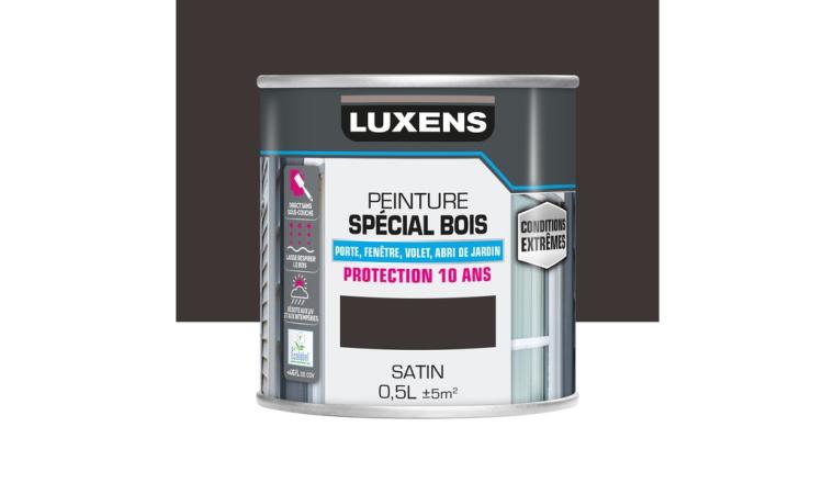 PEINTURE BOIS EXTM SAT 0L5 BRN