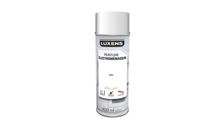 PEINTURE AERO ELECTROMENAGER BLANC 0.4L LUXENS
