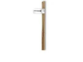 TUTEUR BAMBOU NAT 1M50 LOT 2