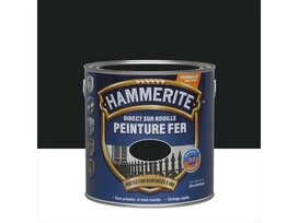 PEINTURE FER MAT 2L5 NR
