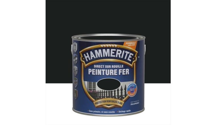 PEINTURE FER MAT 2L5 NR