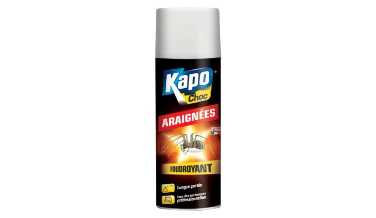 INSECTICIDE ARAIGNEE AERO400ML KAPO