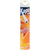 AEROSOL TOUS INSECTES 500ML KAPO