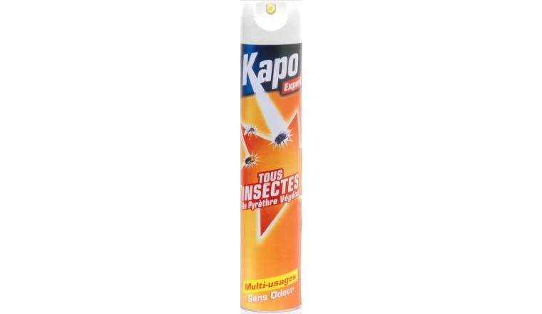 AEROSOL TOUS INSECTES 500ML KAPO