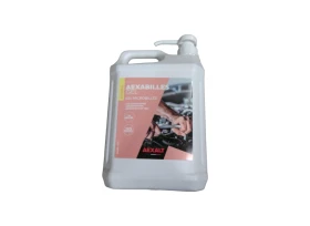 SAVON GEL 4L5 +POMPE AEXALT CITRON SA663