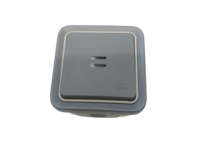 BOUTON-POUS LUMINEUX PLEXO GRI