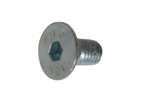VIS TETE F 8X10 DIN 7991